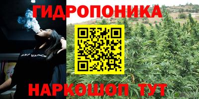 герыч Вязьма