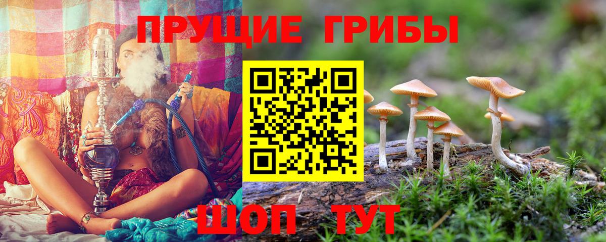 Галлюциногенные грибы Cubensis  Псилоцибиновые грибы Cubensis  Благодарный  Вход с VPN 